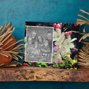 Early Spring Blossoms Create Your Own Photo Plaque