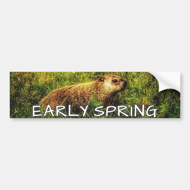 Early Spring bumper sticker (Front)