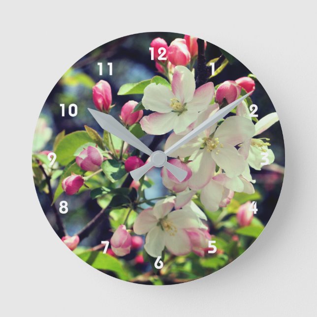 Early Spring Crabapple Blossoms 3 Close Up  Round Clock (Front)