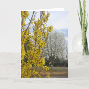 Early Spring - Greeting Card