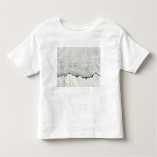 Early spring in the Antarctic Toddler T-Shirt