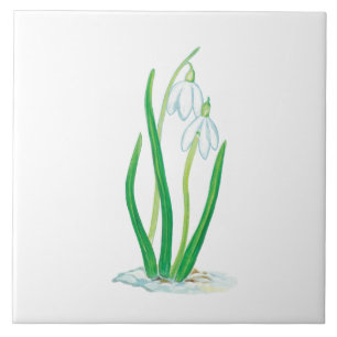 Early Spring Snowdrops   Ceramic Tile