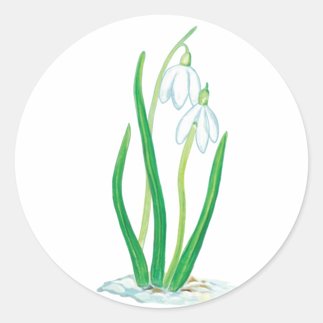 Early Spring Snowdrops  Classic Round Sticker (Front)