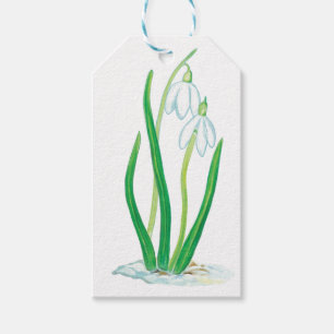 Early Spring Snowdrops Gift Tags