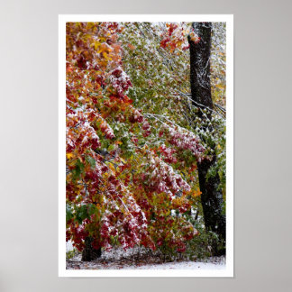 Early Winter Poster