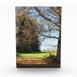 Early Winters Day Photo Block
