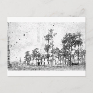 Early years, Mount Dora, FL Postcard