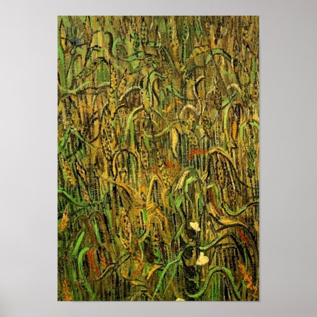 Ears of Wheat Van Gogh Fine Art Poster (Front)
