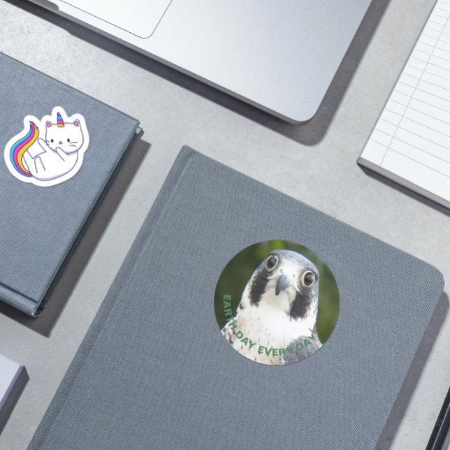 Earth Day Every Day Peregrine Falcon Photo Classic Round Sticker (In Situ Book)