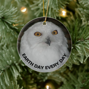 Earth Day Every Day Snowy Owl Ceramic Ornament