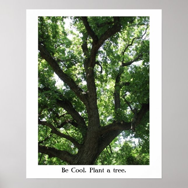 Earth Day Plant-A-Tree Poster (Front)