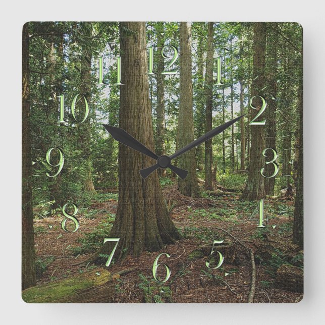 Earth Day Scenic Forest Nature-lovers Clock (Front)