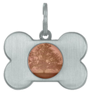 earth day sunset abstract oak tree silhouette pet tag