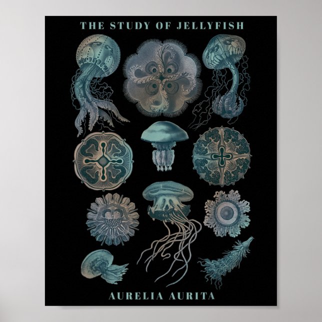 Earth Day The Study Of Jellyfish  Poster (Front)