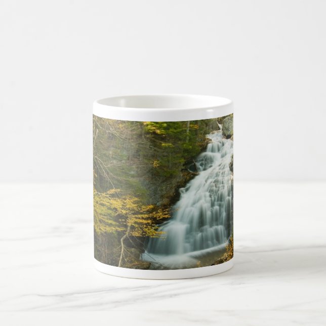 Earth Day Waterfall Mug (Center)