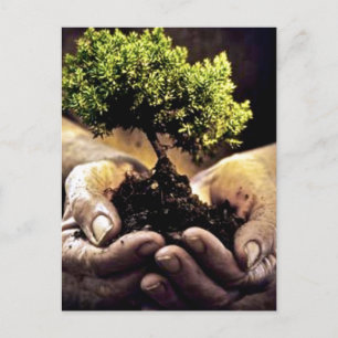 Earth Hands Postcard
