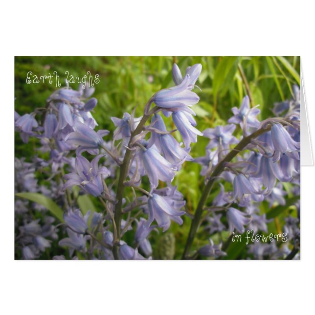Earth Laughs In Flowers - Blank Card (Front Horizontal)