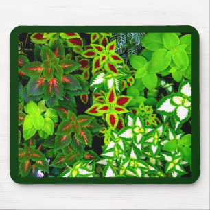 Earth Lover_ Mouse Pad