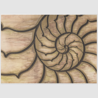 Earth Nautilus Tissue Paper
