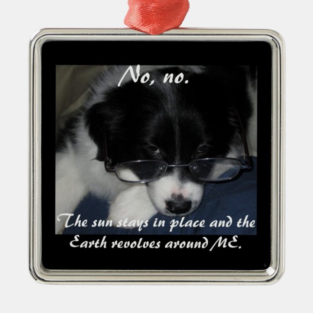 "Earth Revolves Around ME" Ornament (Front)