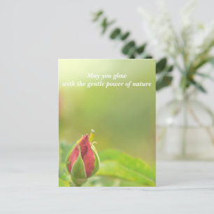 Earth’s Glow and Healing Japanese Flowers/EarthDay Announcement Postcard