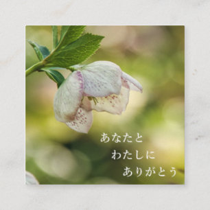 Earth’s Glow and Healing Japanese Flowers/EarthDay Enclosure Card