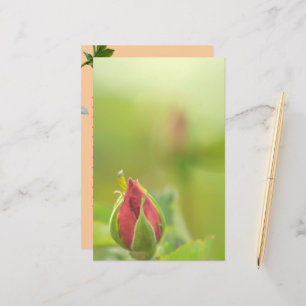 Earth’s Glow and Healing Japanese Flowers/EarthDay Stationery