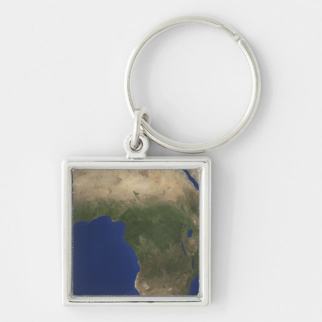 Earth showing landcover over Africa Key Ring (Front)