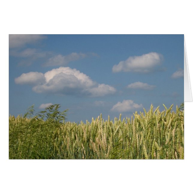 Earth & Sky (Front Horizontal)