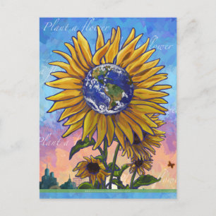 Earth Sunflower postcard