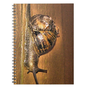Earthbound Explorer – Macro of Snail on Bark Notebook