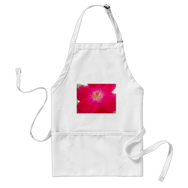 Earth's an Illusion Standard Apron (Front)