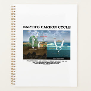 Earth's Carbon Cycle Earth Science Environmental Planner