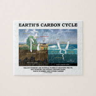 Earth's Carbon Cycle (Earth Science) Jigsaw Puzzle