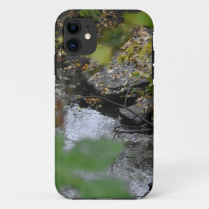Earth's Enchantments iPhone 11 Case