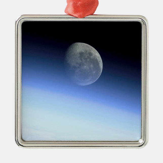 Earth's limb metal tree decoration (Front)