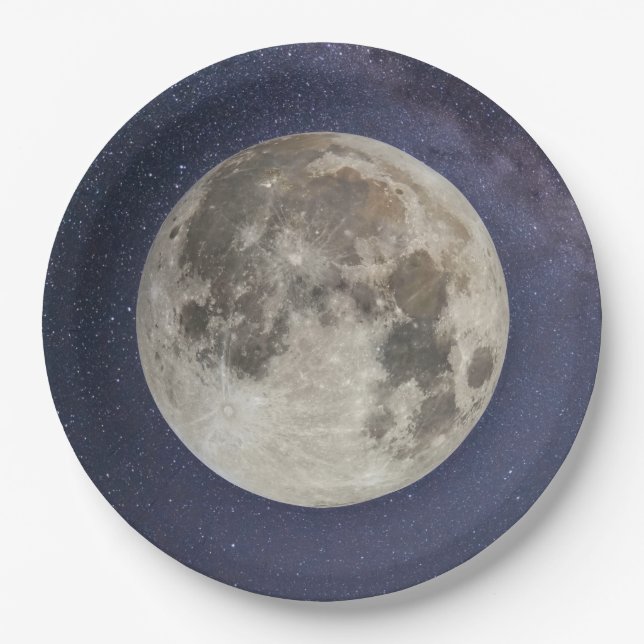 Earth's moon paper plate (Front)