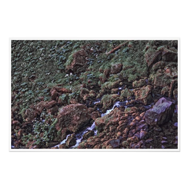 EarthTone Photo Print (Front)