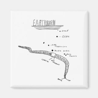 earthworm anatomy magnet