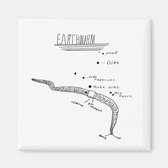 earthworm anatomy magnet (Front)