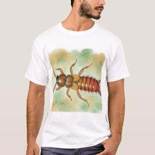 Earwig Dermaptera 110924IREF215 - Watercolor T-Shirt