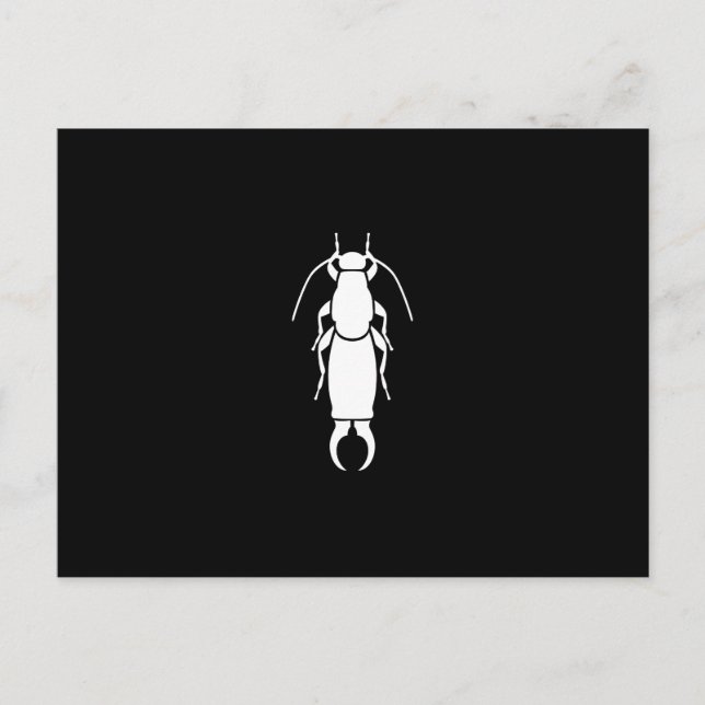 Earwig Postcard (Front)
