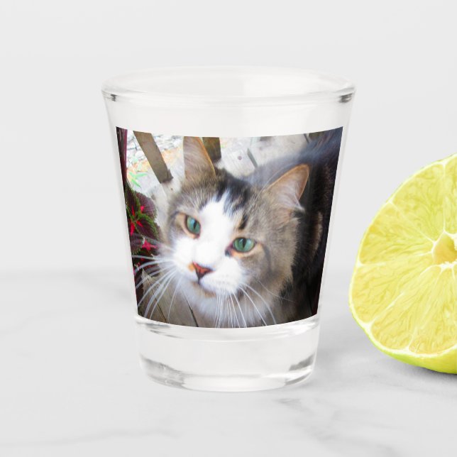 Easily Create Your Own Add Photo Custom Shot Glass (Front)