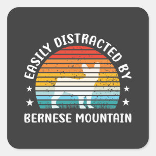 Easily distracted by Bernese Mountain dog, Bernese Square Sticker