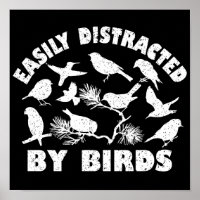 Easily Distracted By Birds