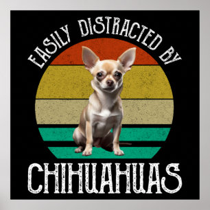 Easily Distracted By Chihuahuas Poster