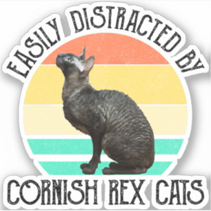 Easily Distracted By Cornish Rex Cats
