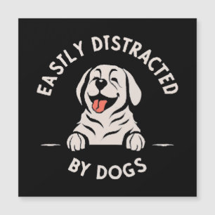 Easily distracted by dogs