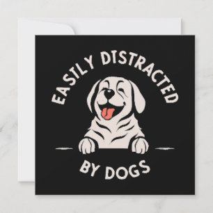 Easily distracted by dogs