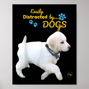 Easily Distracted By Dogs Fun Cheerful - Men Women Poster